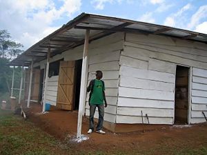 Painting the building.jpg